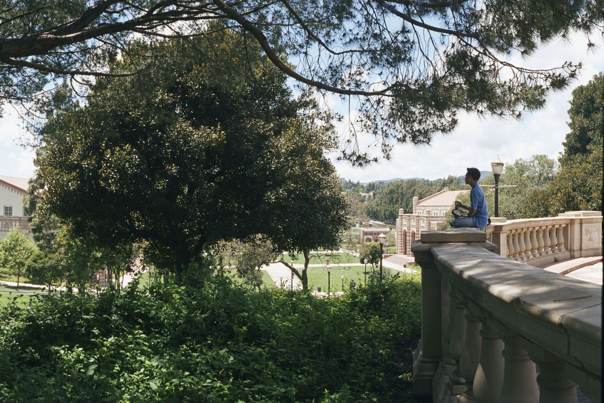 Individual on a bench, observing the serene park landscape with trees and open space.